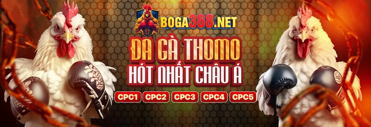 Sân đấu gà trực tuyến ac88 sôi động với khán giả cổ vũ