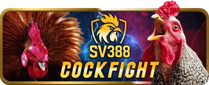 Game Mậu Binh (Binh Xập Xám) tại ac88